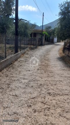 Αγροτεμάχια 1.700 τ.μ. για πώληση, Ν. Καβάλας, Θάσος
