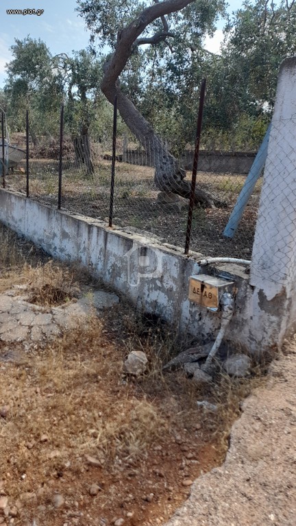 Αγροτεμάχια 1.700 τ.μ. προς πώληση, Σκάλα Καλλιράχης