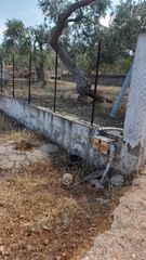 Αγροτεμάχια 1.700 τ.μ. για πώληση, Ν. Καβάλας, Θάσος-thumb-1