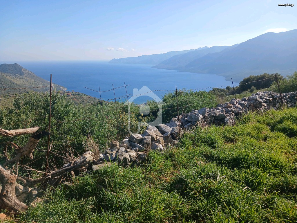 Αγροτεμάχια 26.000 τ.μ. προς πώληση, Ριγανόχωρα