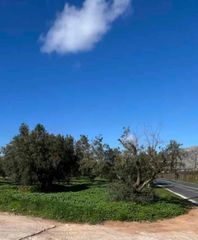 Οικόπεδο 3.000 τ.μ. για πώληση