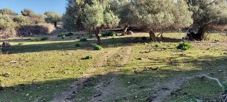 Οικόπεδο 2.500 τ.μ. για πώληση, Ν. Ρεθύμνου, Λάππα-thumb-16