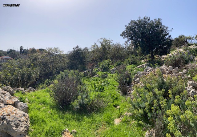 Οικόπεδο 2.170 τ.μ. πρός πώληση, Ν. Ρεθύμνου, Νικηφόρος Φωκάς