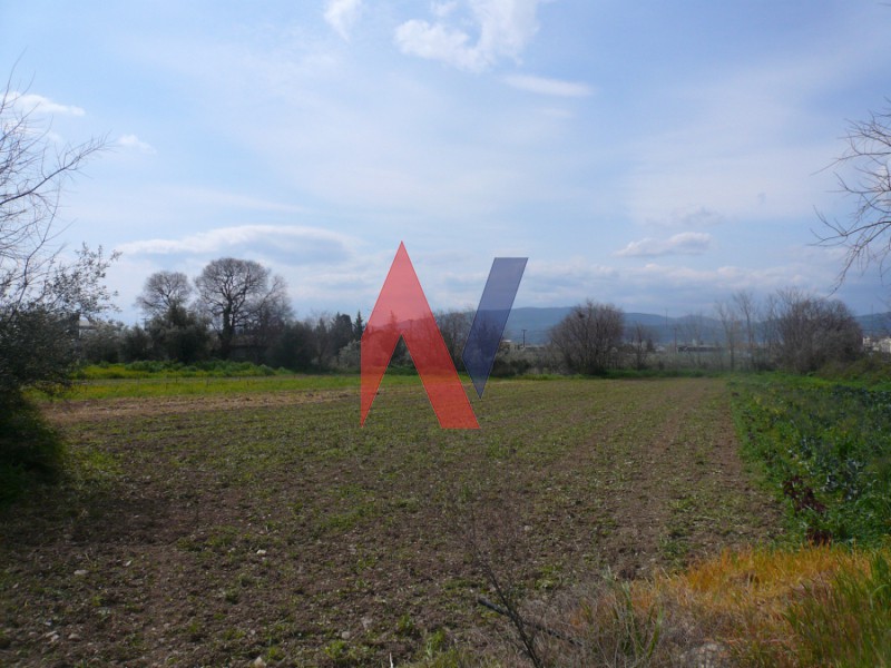 Αγροτεμάχια 4.900 τ.μ. πρός πώληση, Μαγνησία, Βόλος
