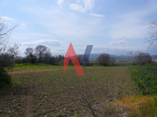 Αγροτεμάχια 4.900 τ.μ. για πώληση