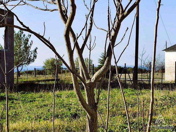 Οικόπεδο 550 τ.μ. πρός πώληση