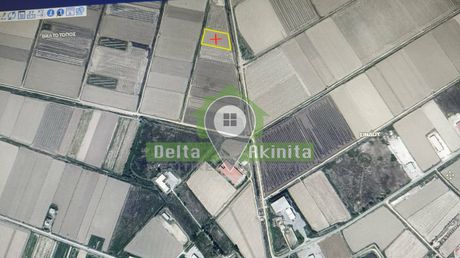 Αγροτεμάχια 5.600 τ.μ. προς πώληση