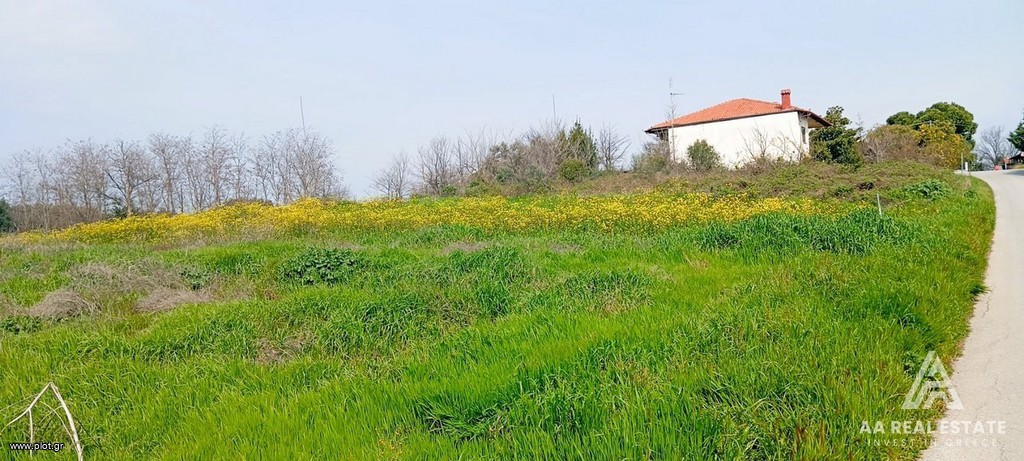 Αγροτεμάχια 2.700 τ.μ. πρός πώληση, Ν. Πιερίας, Μεθώνη