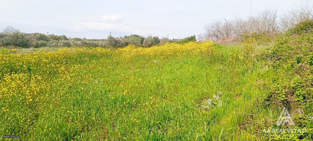Αγροτεμάχια 2.700 τ.μ. πρός πώληση, Ν. Πιερίας, Μεθώνη