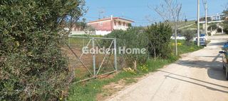 Αγροτεμάχια 700 τ.μ. προς πώληση