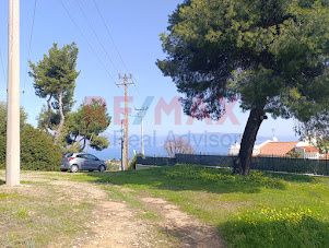 Αγροτεμάχια 5.750 τ.μ. προς πώληση