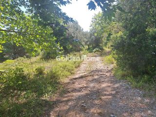 Αγροτεμάχια 34.477 τ.μ. για πώληση