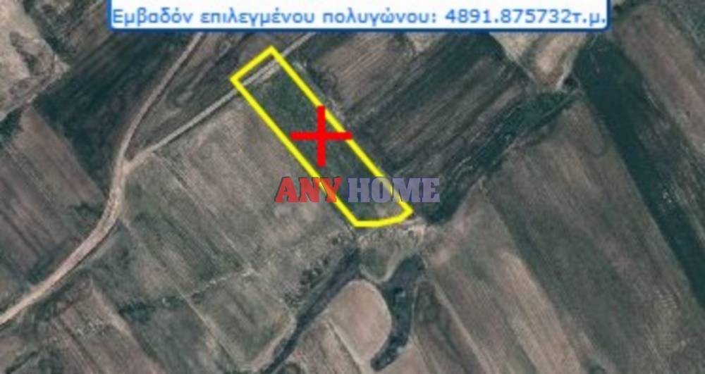 Αγροτεμάχια 4.890 τ.μ. προς πώληση, Ξηροχώρι Αγίου Αθανασίου