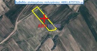 Αγροτεμάχια 4.890 τ.μ. για πώληση