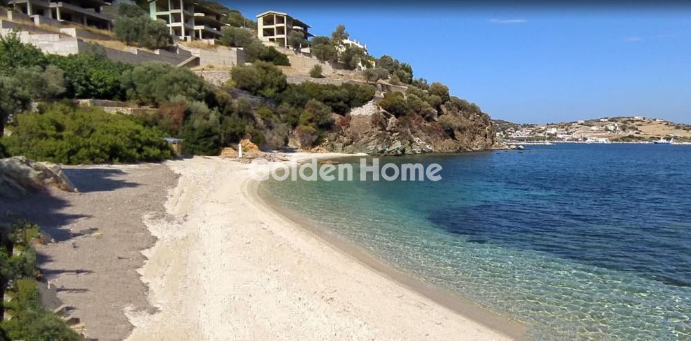 Οικόπεδο 6.000 τ.μ. προς πώληση, Άγιοι Απόστολοι Δύστου