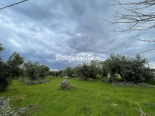 Οικόπεδο 962 τ.μ. προς πώληση