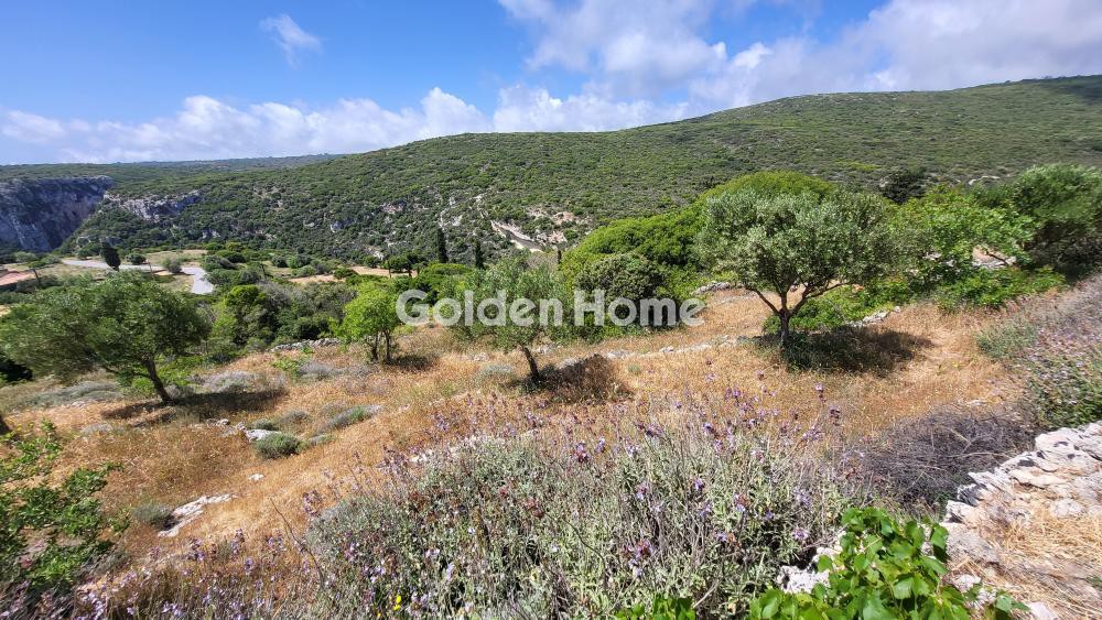 Οικόπεδο 2.100 τ.μ. προς πώληση, Μητάτα