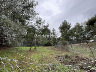 Αγροτεμάχια 277 τ.μ. προς πώληση