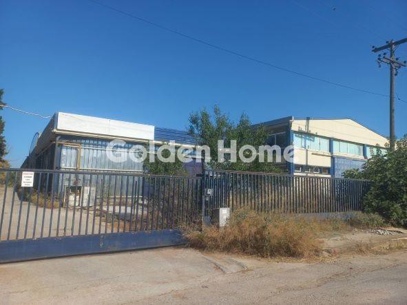 Βιομηχανικός χώρος 2.842 τ.μ. προς πώληση, Διμήνι