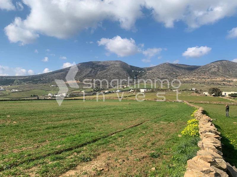 Αγροτεμάχια 7.108 τ.μ. προς πώληση, Πρόδρομος Πάρου
