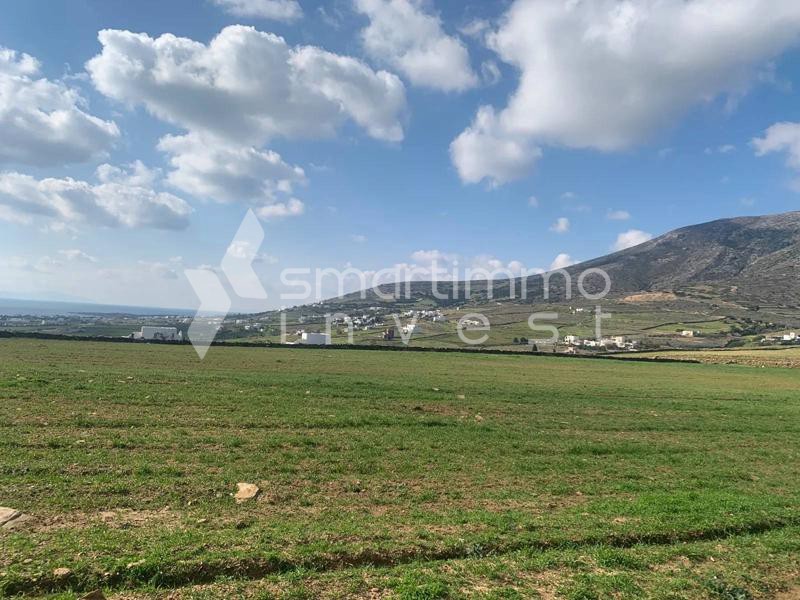Αγροτεμάχια 7.108 τ.μ. προς πώληση, Πρόδρομος Πάρου