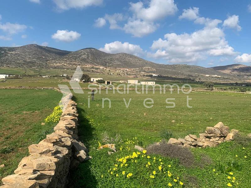 Αγροτεμάχια 7.108 τ.μ. προς πώληση, Πρόδρομος Πάρου