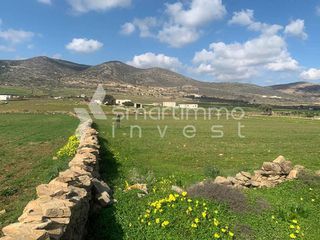 Αγροτεμάχια 7.108 τ.μ. προς πώληση, Πρόδρομος Πάρου-thumb-2