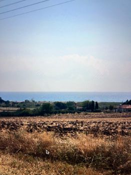 Αγροτεμάχια 4.324 τ.μ. για πώληση