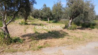 Αγροτεμάχια 1.336 τ.μ. για πώληση