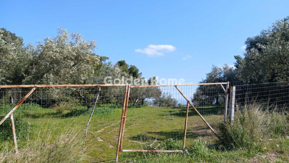 Αγροτεμάχια 4.500 τ.μ. προς πώληση, Ριτσώνα