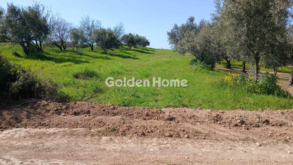 Αγροτεμάχια 2.356 τ.μ. προς πώληση, Φάρος Αυλίδας