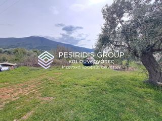 Αγροτεμάχια 12.060 τ.μ. για πώληση
