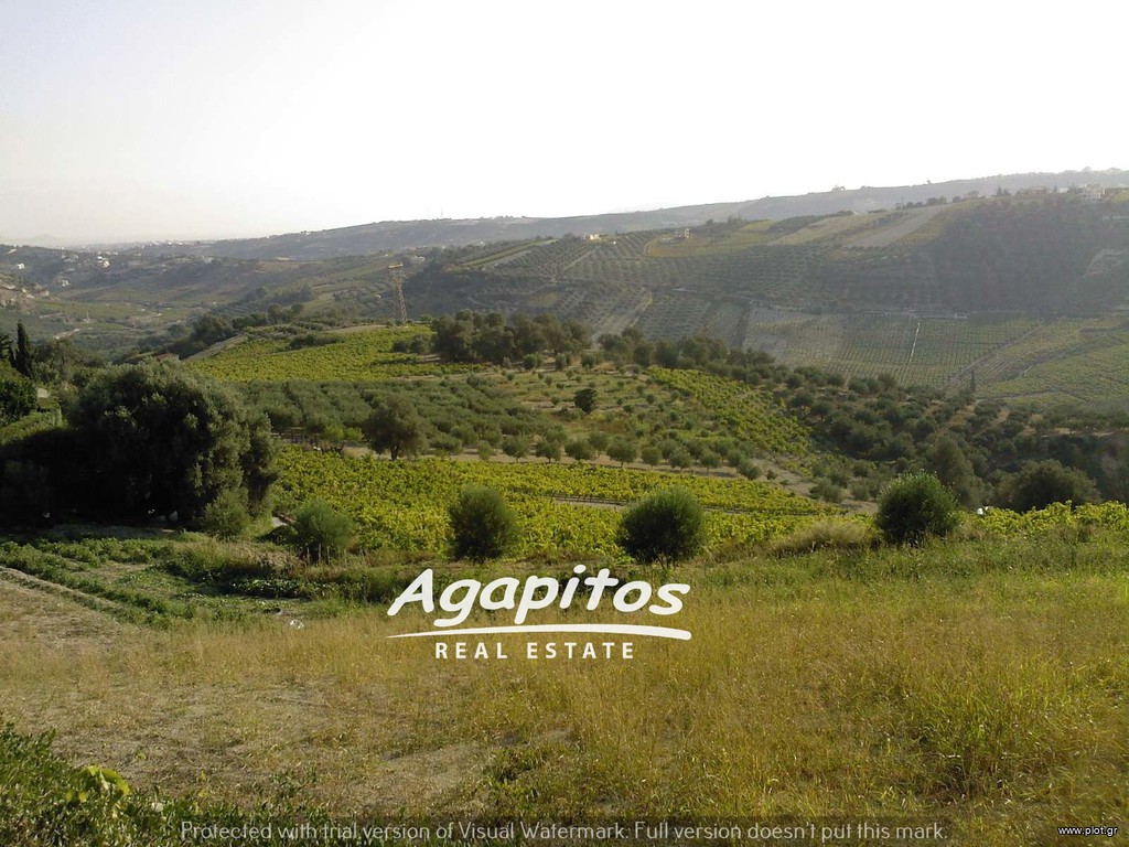 Οικόπεδο 9.700 τ.μ. προς πώληση, Βούτες