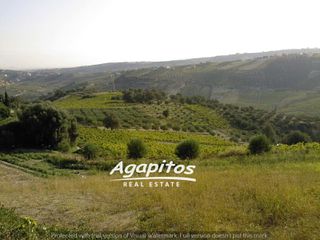 Οικόπεδο 9.700 τ.μ. για πώληση