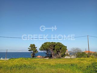 Οικόπεδο 2.468 τ.μ. για πώληση