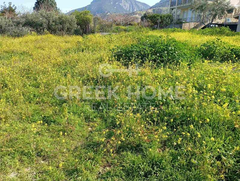 Οικόπεδο 2.468 τ.μ. προς πώληση, Κάτω Πιτσά