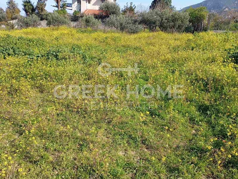 Οικόπεδο 2.468 τ.μ. προς πώληση, Κάτω Πιτσά