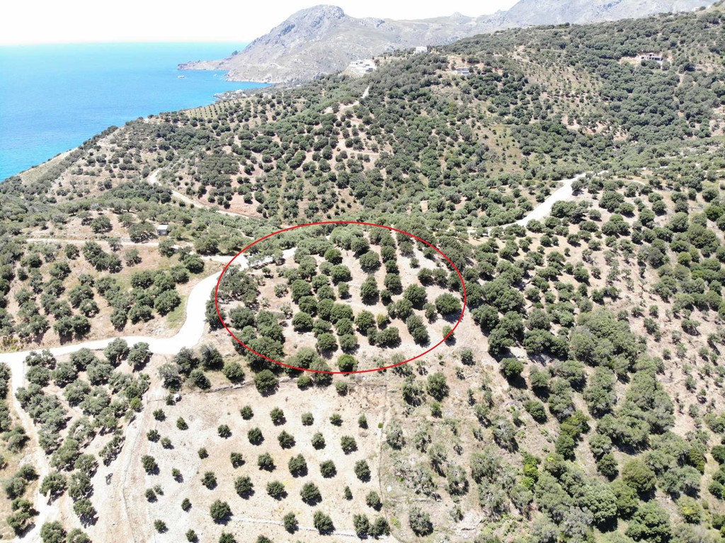 Αγροτεμάχια 4.098 τ.μ. πρός πώληση, Ν. Ρεθύμνου, Φοινίκας