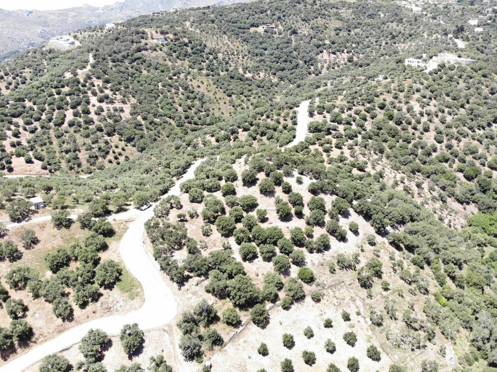 Αγροτεμάχια 4.098 τ.μ. πρός πώληση, Ν. Ρεθύμνου, Φοινίκας