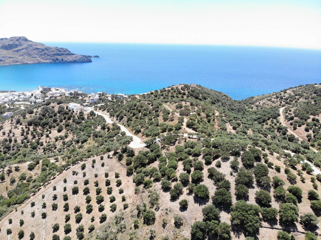 Αγροτεμάχια 4.098 τ.μ. πρός πώληση, Ν. Ρεθύμνου, Φοινίκας