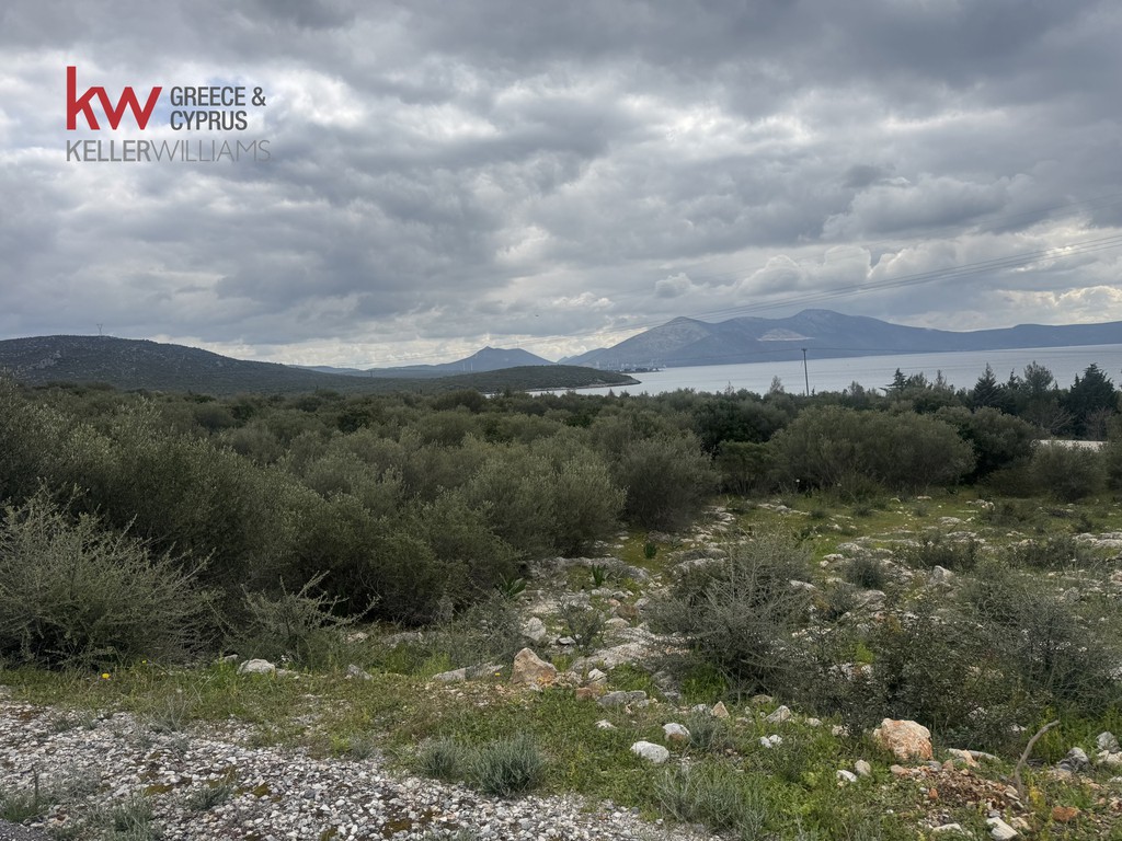 Οικόπεδο 612 τ.μ. προς πώληση, Άγιος Ιωάννης Ταμυνών