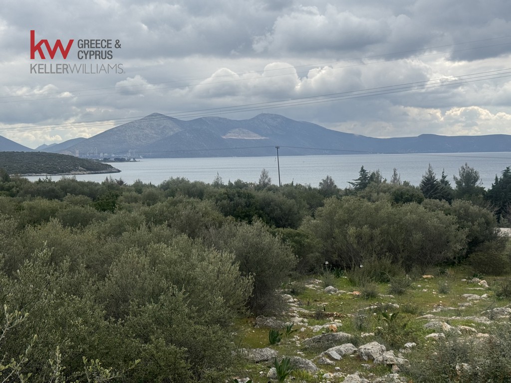 Οικόπεδο 612 τ.μ. προς πώληση, Άγιος Ιωάννης Ταμυνών