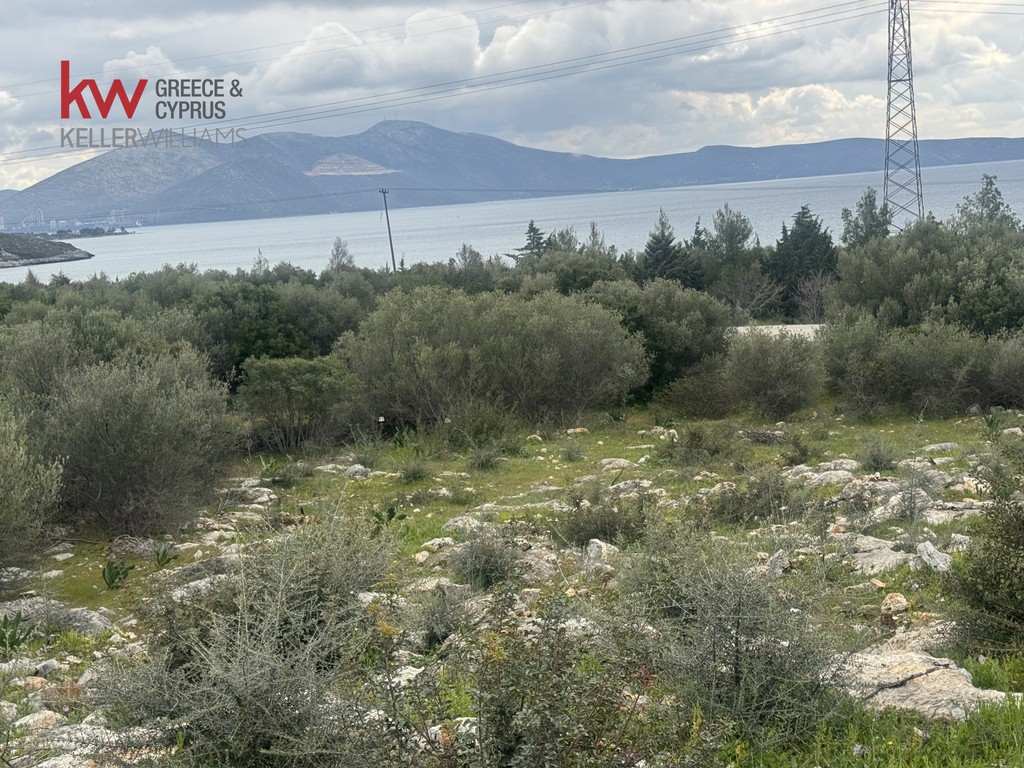 Οικόπεδο 612 τ.μ. προς πώληση, Άγιος Ιωάννης Ταμυνών