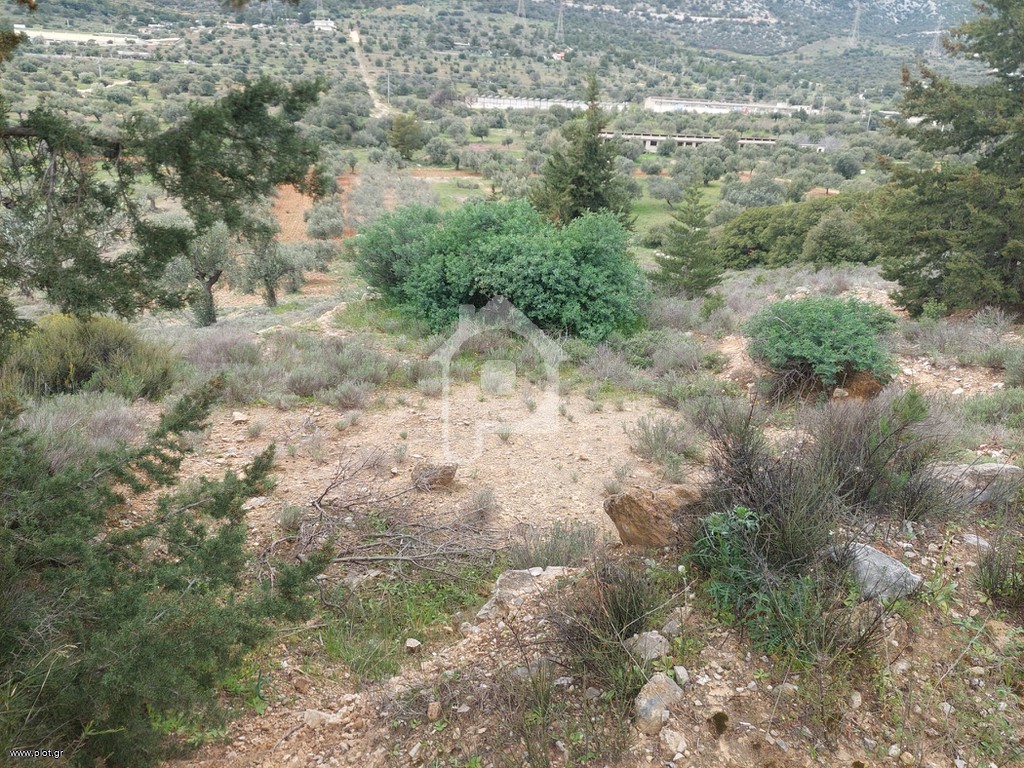 Αγροτεμάχια 930 τ.μ. προς πώληση, Ουλίντζι