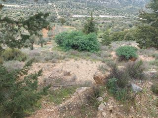 Αγροτεμάχια 930 τ.μ. για πώληση