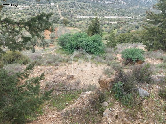 Αγροτεμάχια 930 τ.μ. προς πώληση