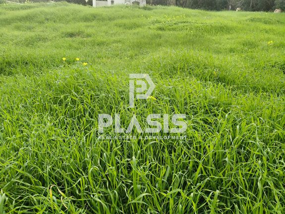 Land plot 240 sqm for sale, Athens - East, Paiania