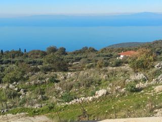 Συγκρότημα διαμερισμάτων 311 τ.μ. προς πώληση, Νομιτσής-thumb-3