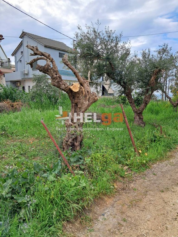 Οικόπεδο 120 τ.μ. πρός πώληση, Αχαΐα, Παραλία