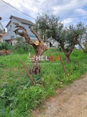 Οικόπεδο 120 τ.μ. για πώληση, Αχαΐα, Παραλία-thumb-2